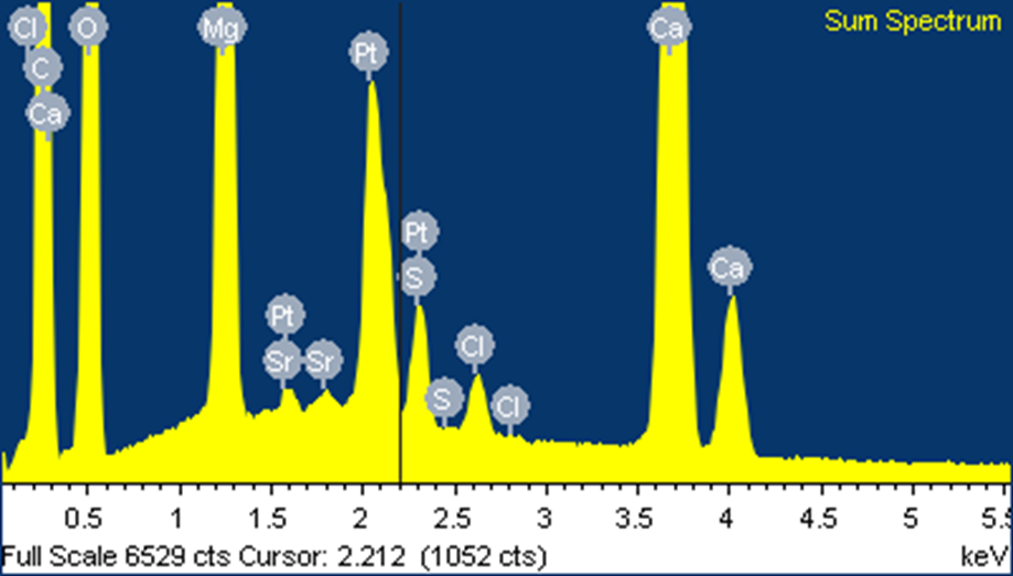 EDS Spectra