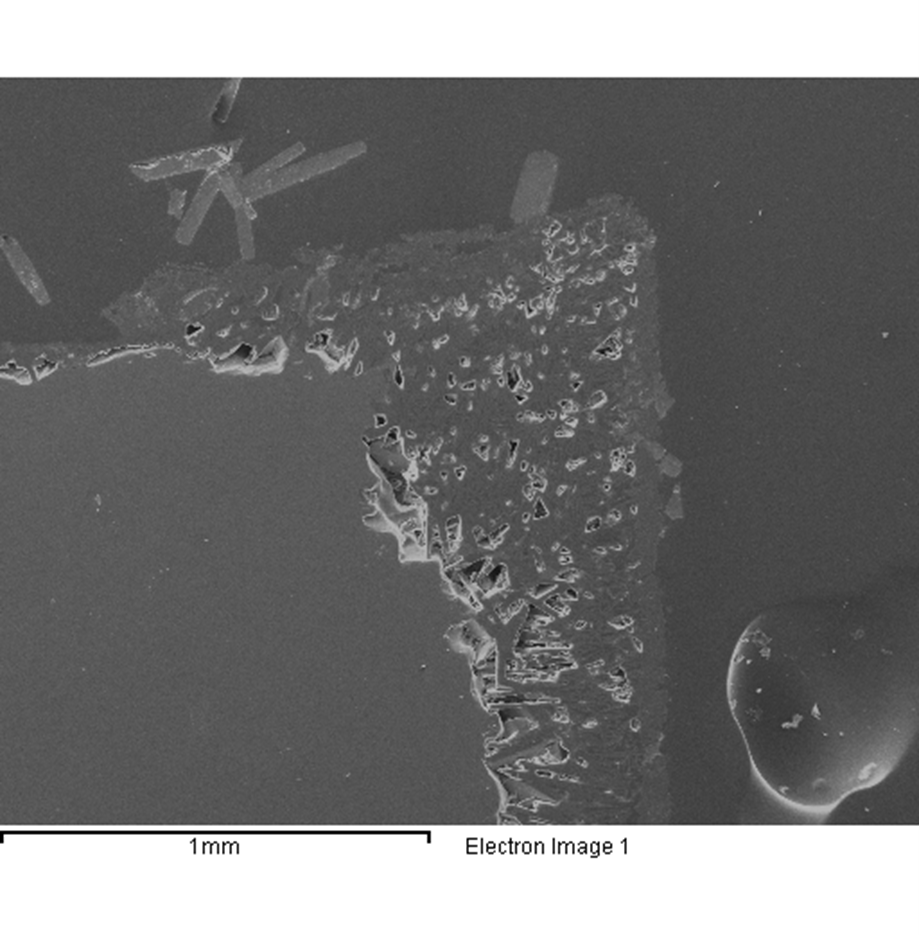 Secondary Electrion Surface Texture